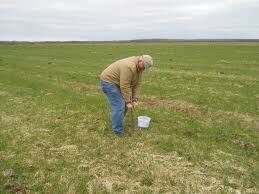 Alfalfa Soil Test: Olson Phosphorus